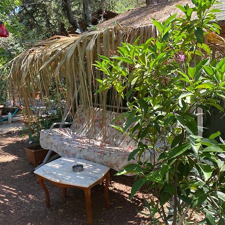 Canario Bungalows Çıralı Dış mekan fotoğraf