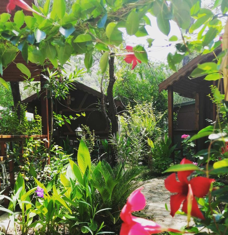 Canario Bungalows Çıralı Dış mekan fotoğraf