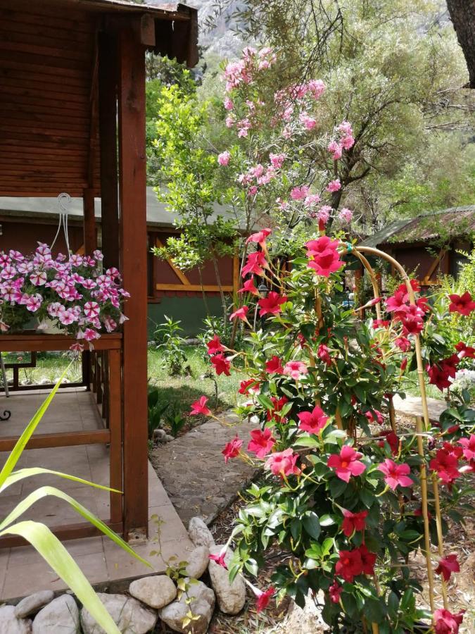 Canario Bungalows Çıralı Dış mekan fotoğraf