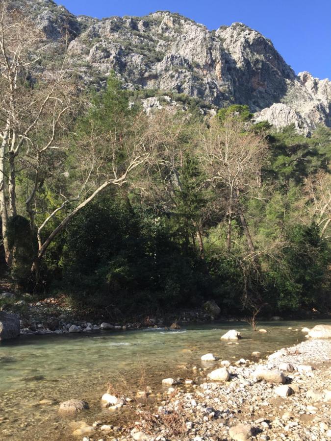 Canario Bungalows Çıralı Dış mekan fotoğraf