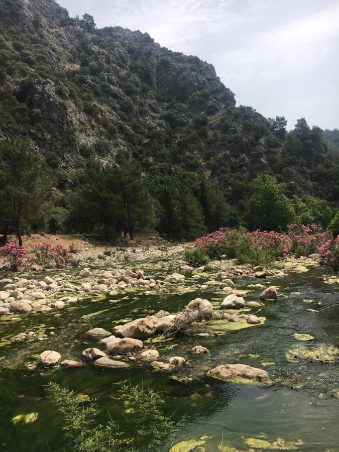 Canario Bungalows Çıralı Dış mekan fotoğraf