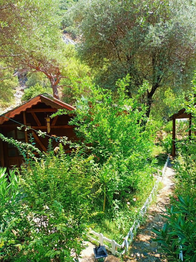 Canario Bungalows Çıralı Dış mekan fotoğraf