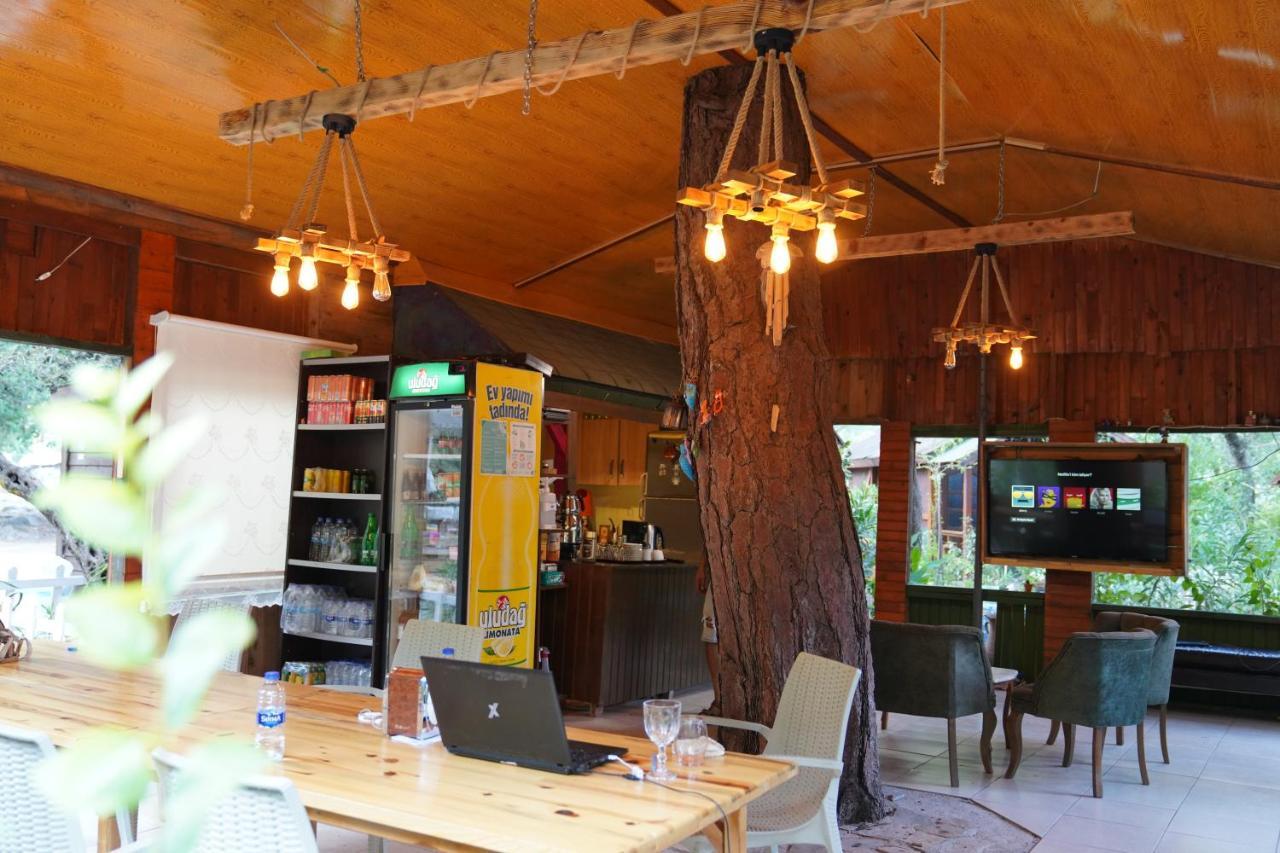 Canario Bungalows Çıralı Dış mekan fotoğraf
