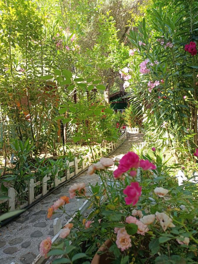 Canario Bungalows Çıralı Dış mekan fotoğraf