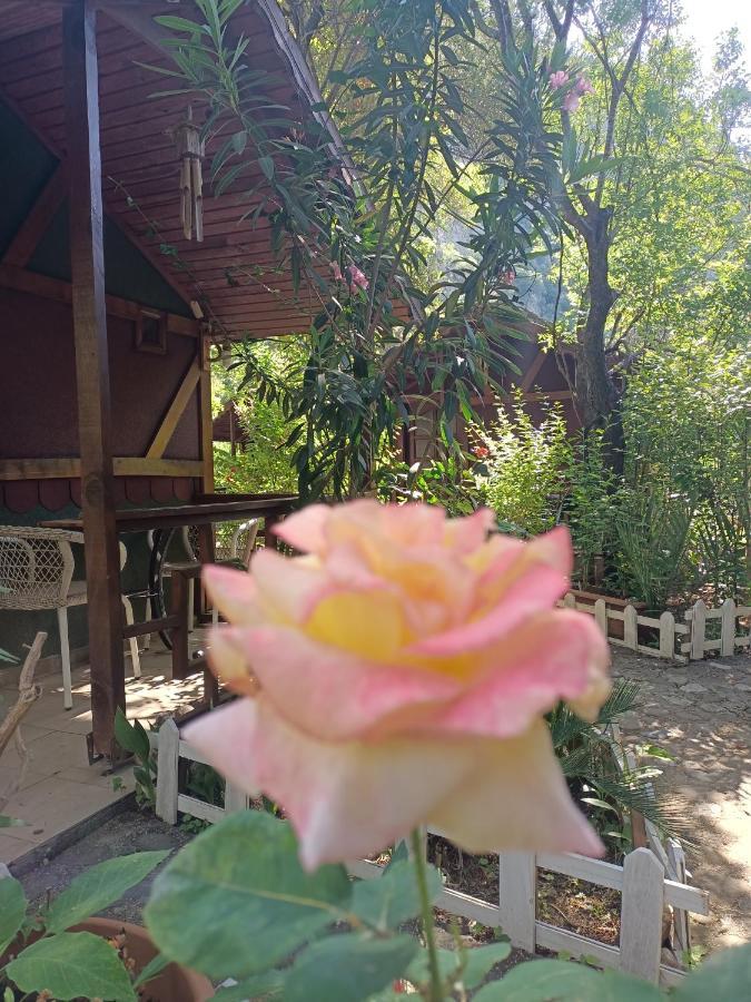 Canario Bungalows Çıralı Dış mekan fotoğraf