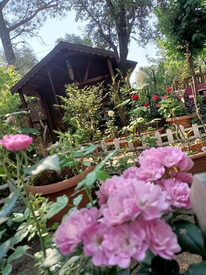 Canario Bungalows Çıralı Dış mekan fotoğraf