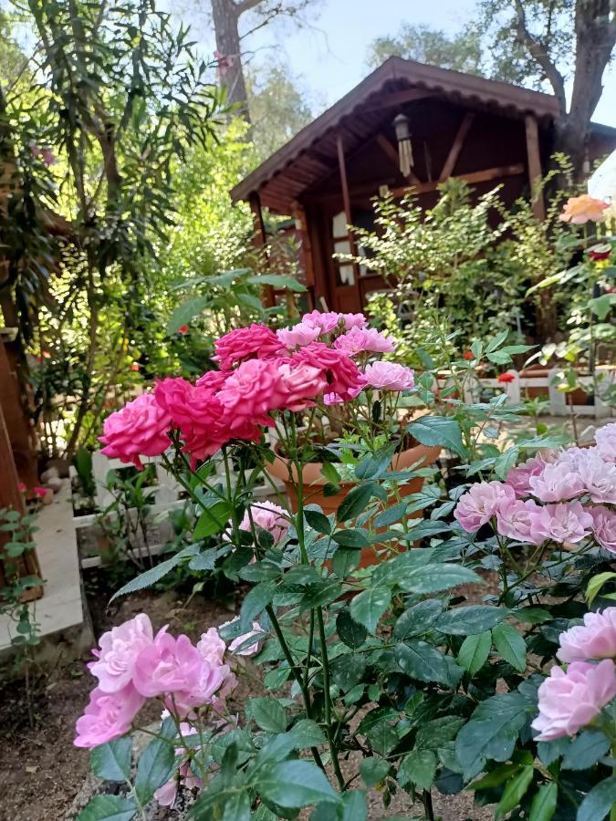 Canario Bungalows Çıralı Dış mekan fotoğraf