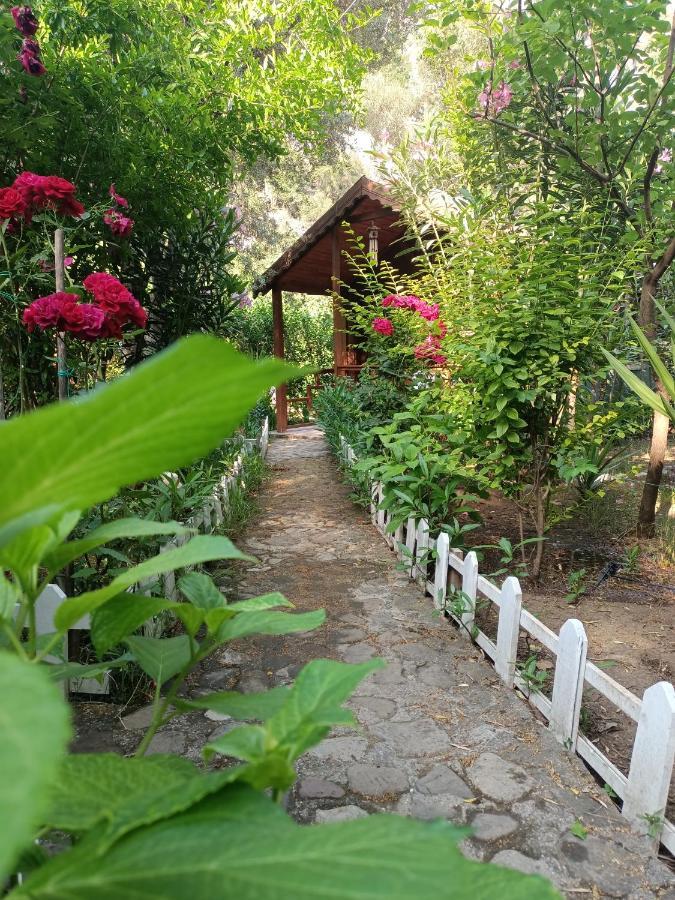 Canario Bungalows Çıralı Dış mekan fotoğraf