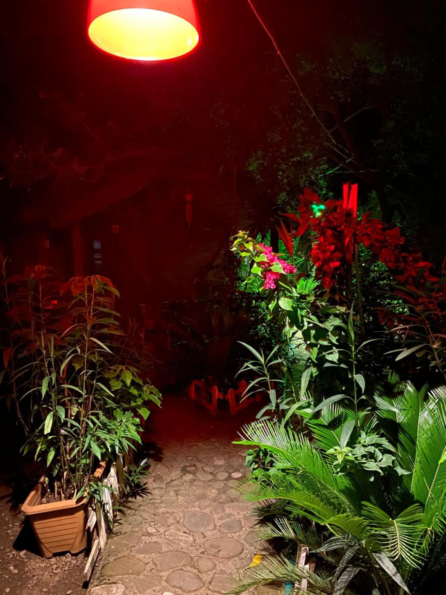 Canario Bungalows Çıralı Dış mekan fotoğraf