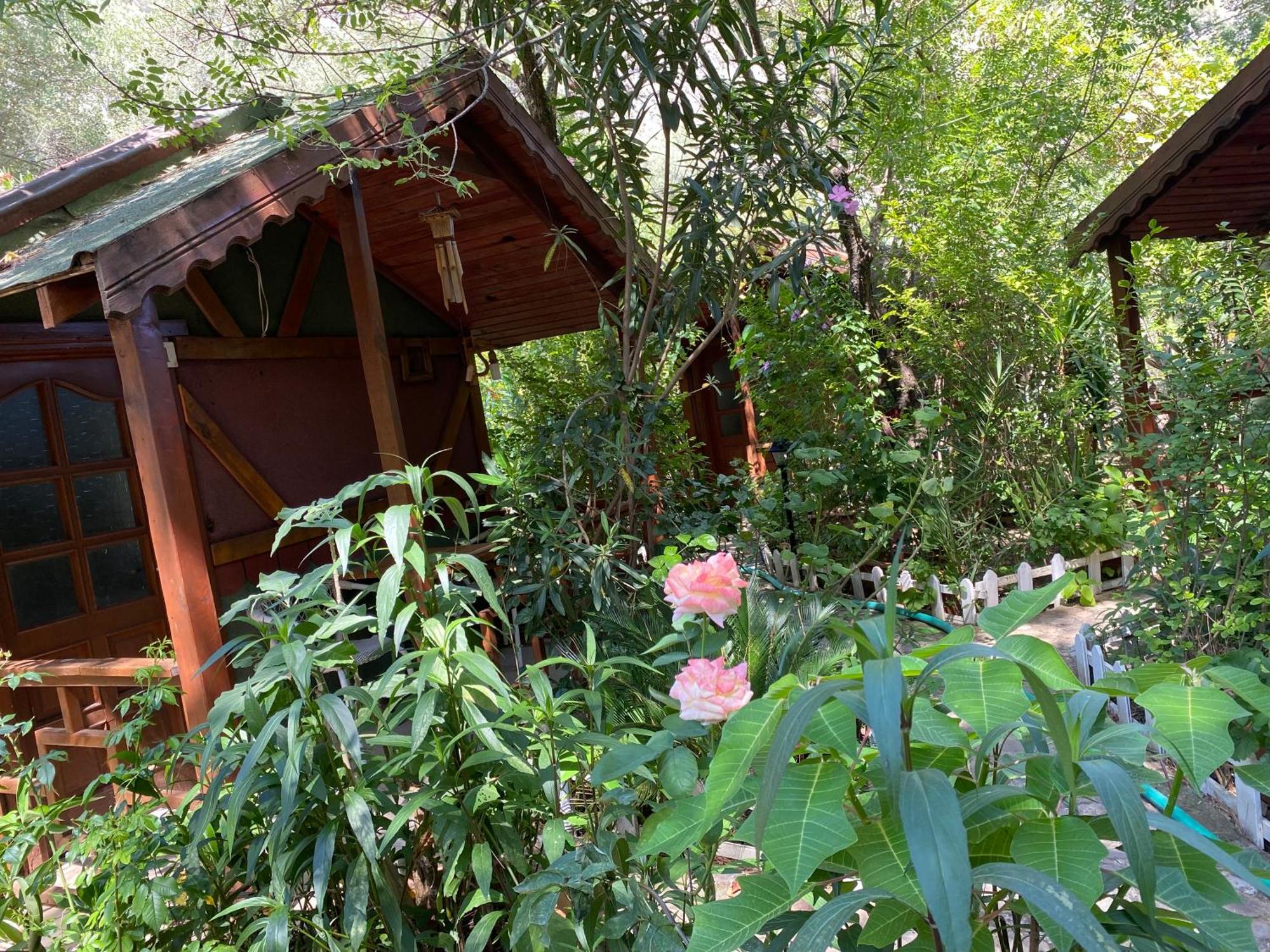 Canario Bungalows Çıralı Dış mekan fotoğraf