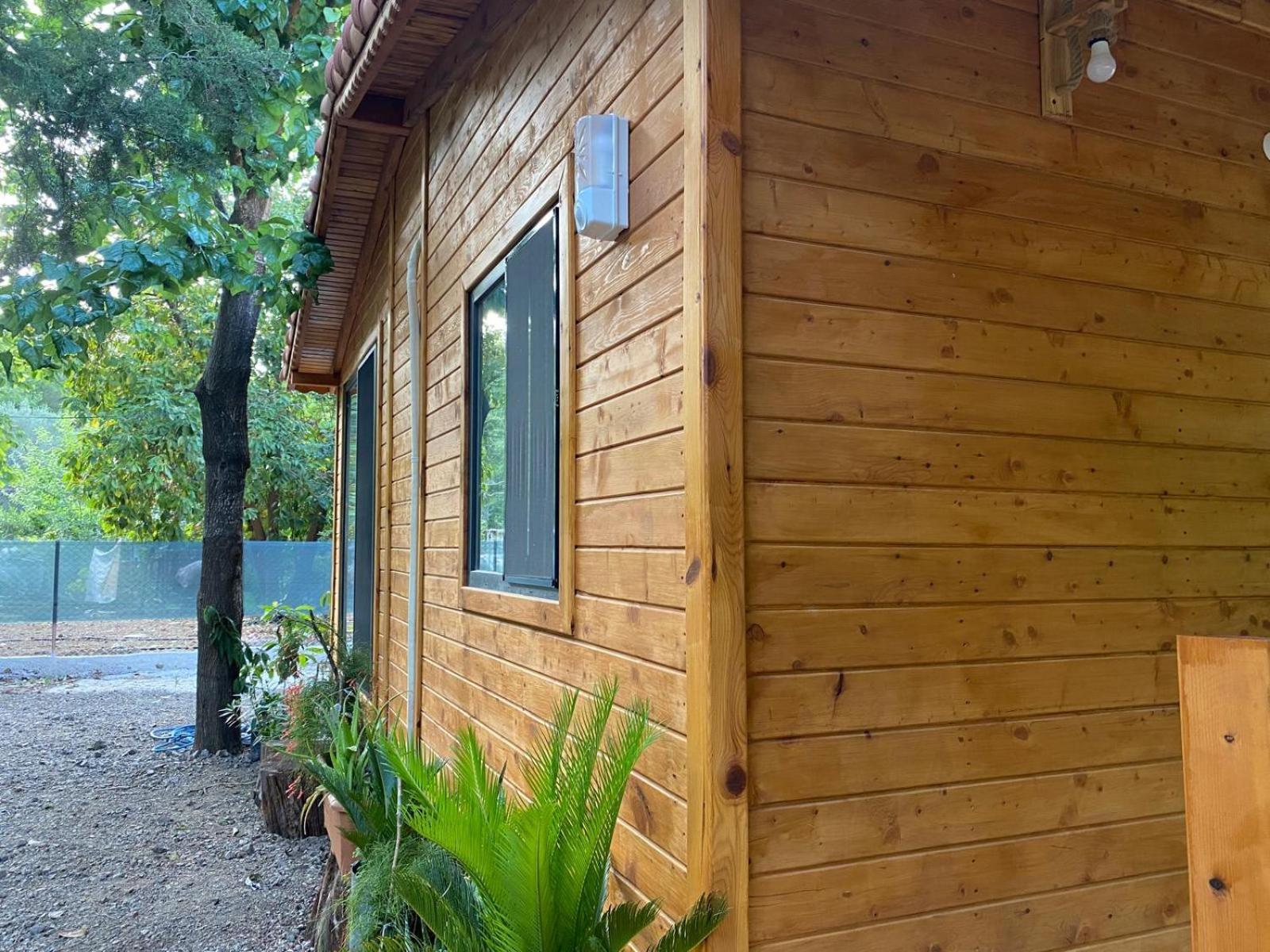 Canario Bungalows Çıralı Dış mekan fotoğraf