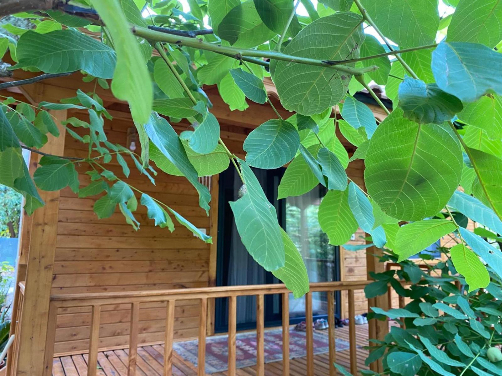 Canario Bungalows Çıralı Dış mekan fotoğraf